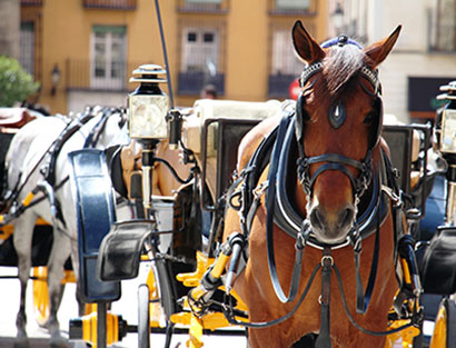 Seville - rest day