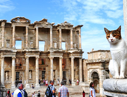 Rest day.  Guided tour of Ephesus riding motorcycles or using a minibus – without riding motorcycles.  O/N Sirince.