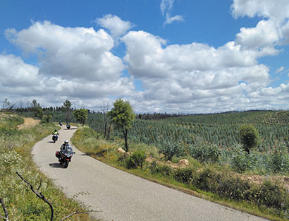 Lisbon - Alentejo