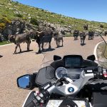 The-Great-Northern-Discovery-Motorbike-Tour