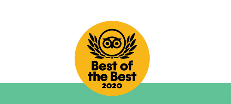 Best of the Best 2020