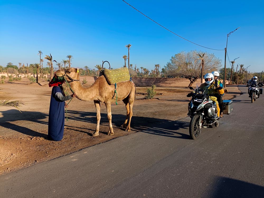 Marrakesch – Pre-Atlas