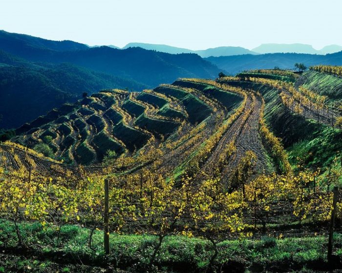 Sierra del Maestrazgo - Priorat