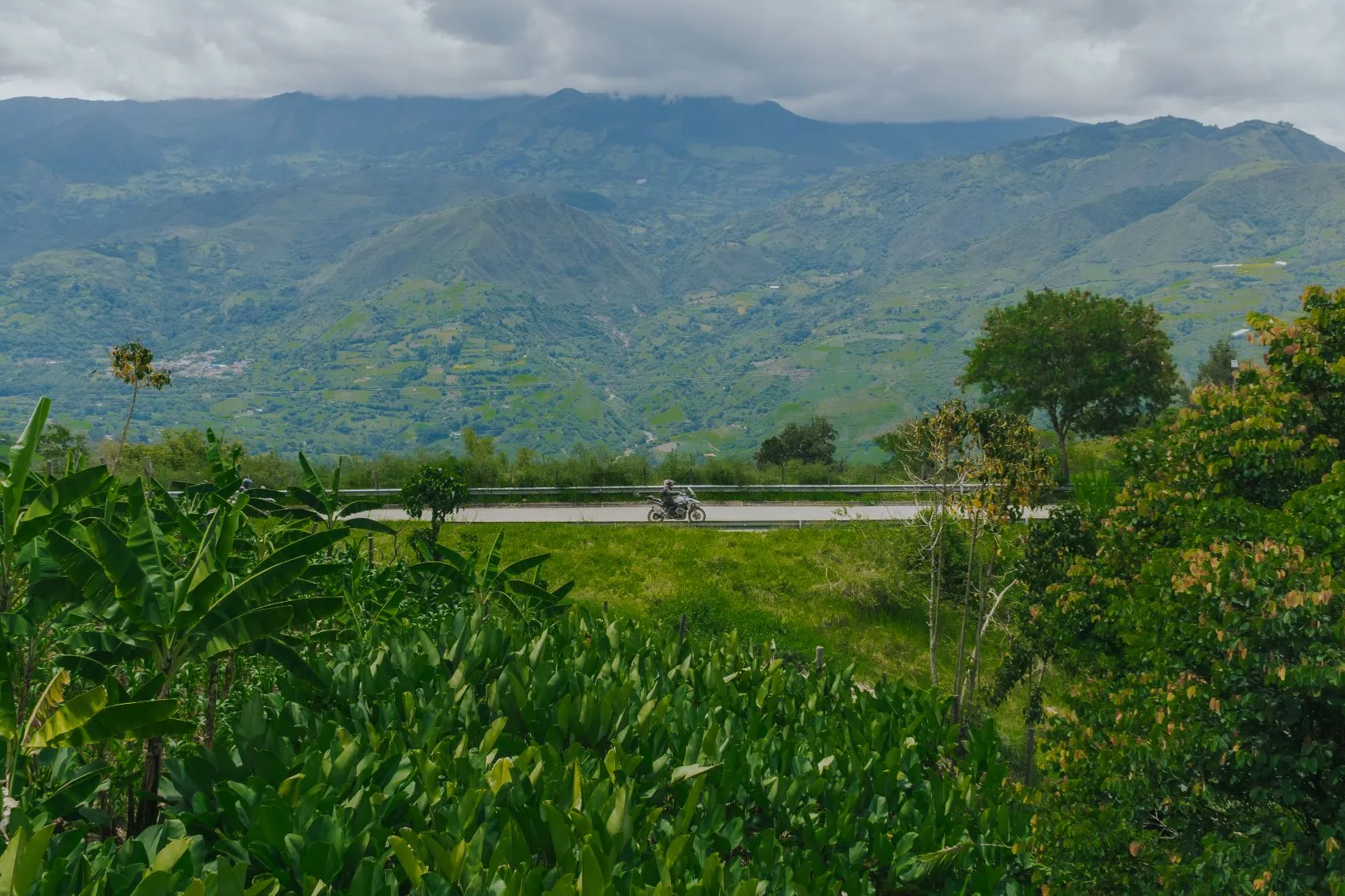 Medellín - Jardín